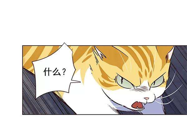 觉醒吧，铲屎官！5话