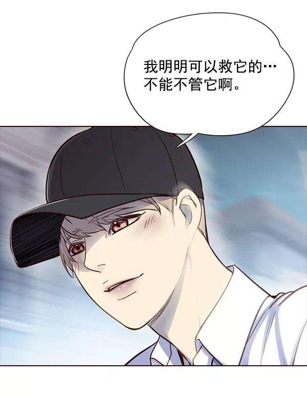 觉醒吧，铲屎官！5话