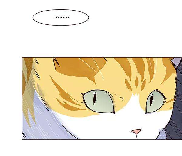 觉醒吧，铲屎官！5话