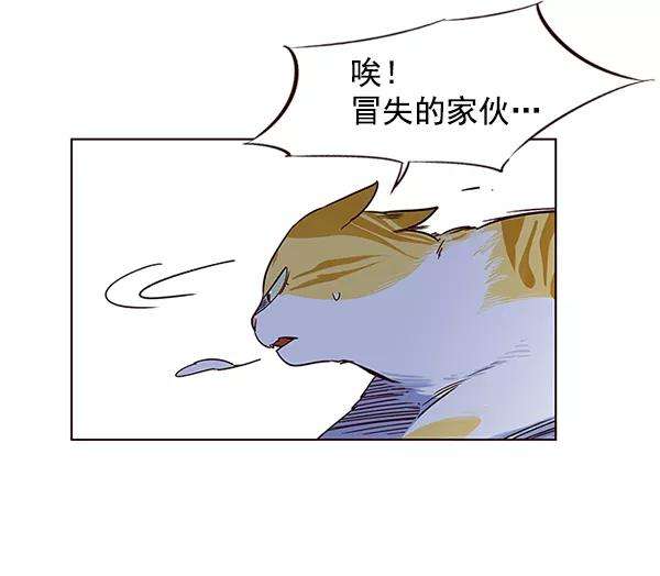 觉醒吧，铲屎官！5话
