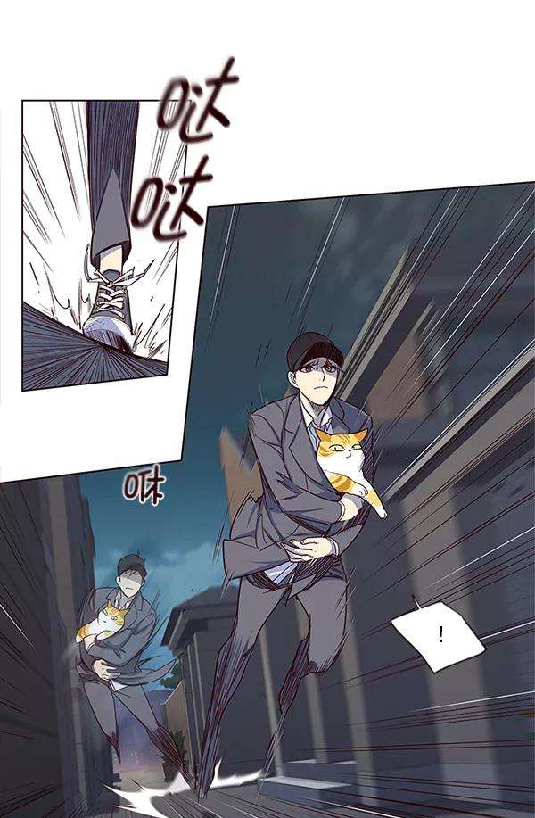 觉醒吧，铲屎官！5话
