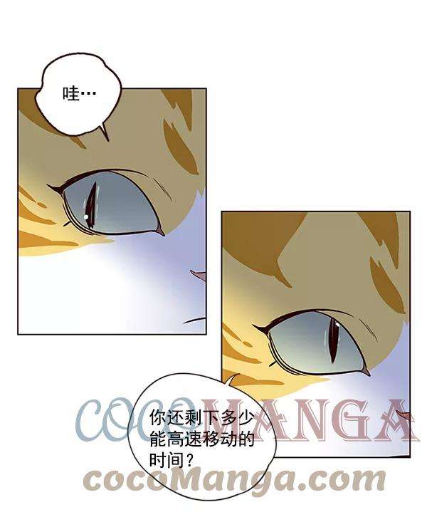 觉醒吧，铲屎官！5话