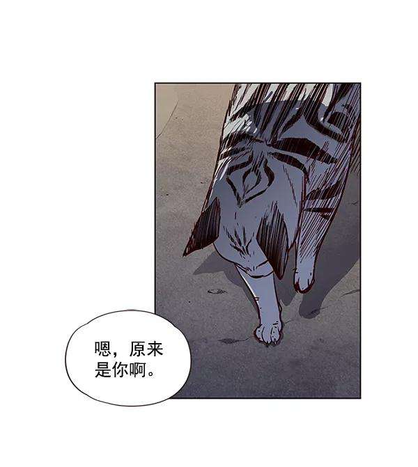觉醒吧，铲屎官！5话