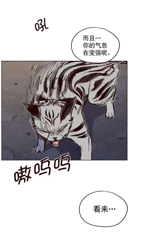 觉醒吧，铲屎官！5话