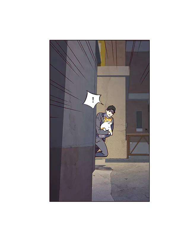 觉醒吧，铲屎官！5话