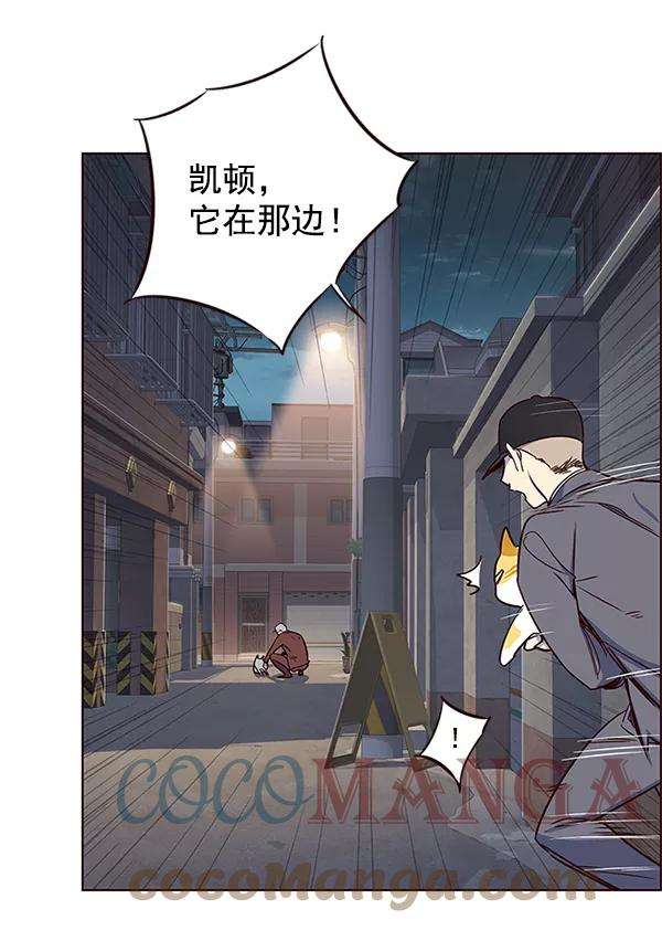 觉醒吧，铲屎官！5话
