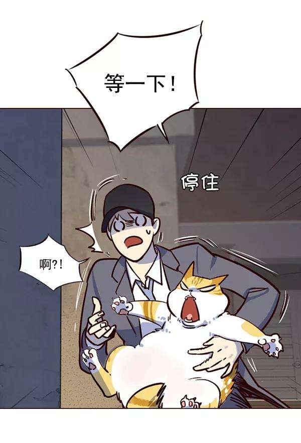 觉醒吧，铲屎官！5话