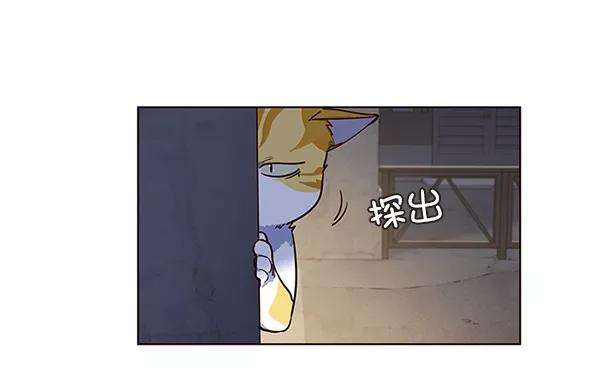 觉醒吧，铲屎官！5话