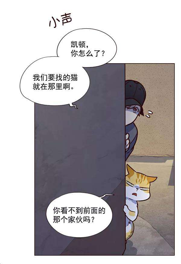 觉醒吧，铲屎官！5话