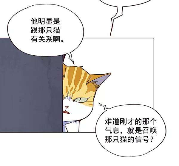 觉醒吧，铲屎官！5话