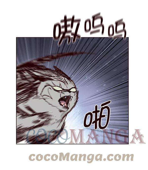 觉醒吧，铲屎官！5话