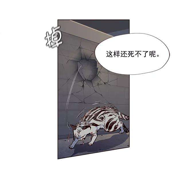 觉醒吧，铲屎官！5话