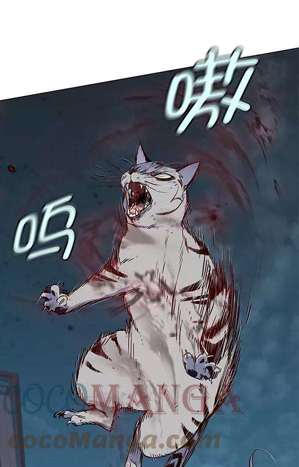 觉醒吧，铲屎官！5话