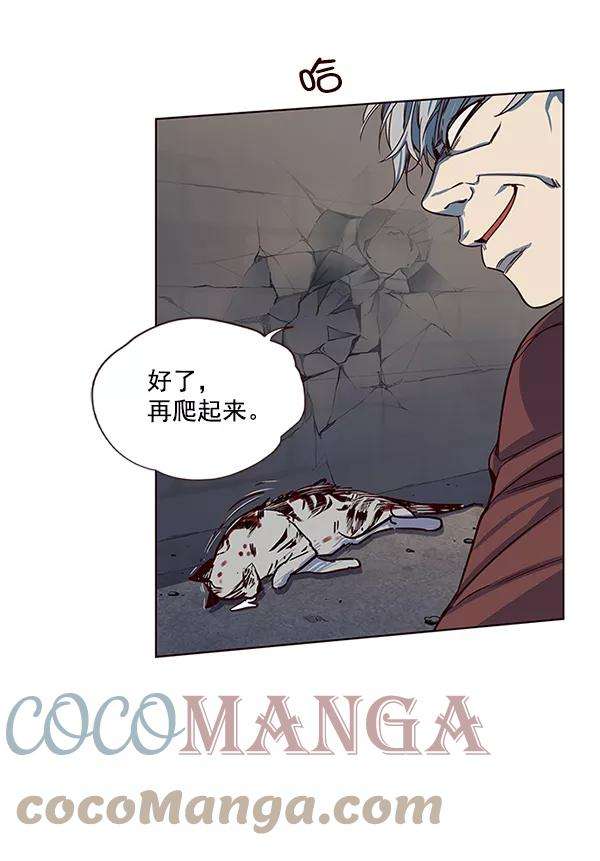 觉醒吧，铲屎官！5话
