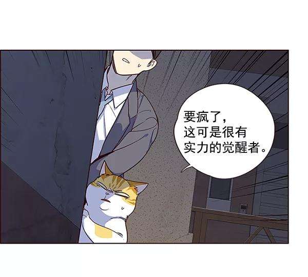 觉醒吧，铲屎官！5话