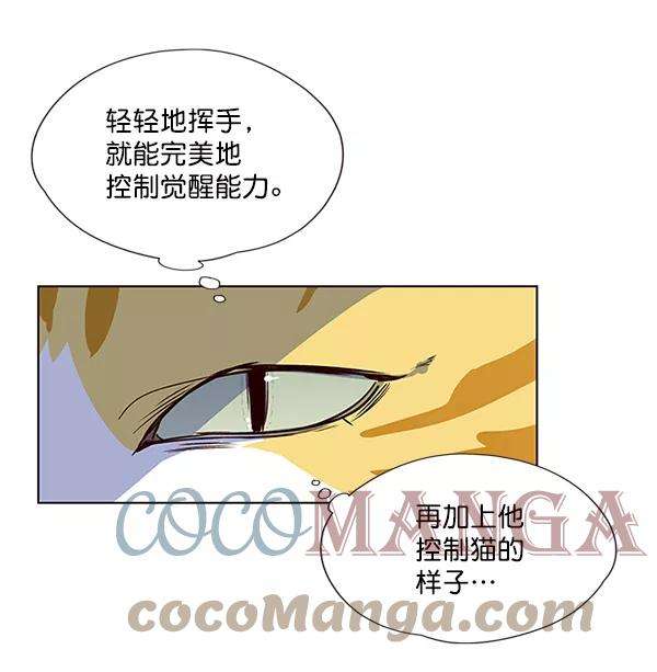 觉醒吧，铲屎官！5话