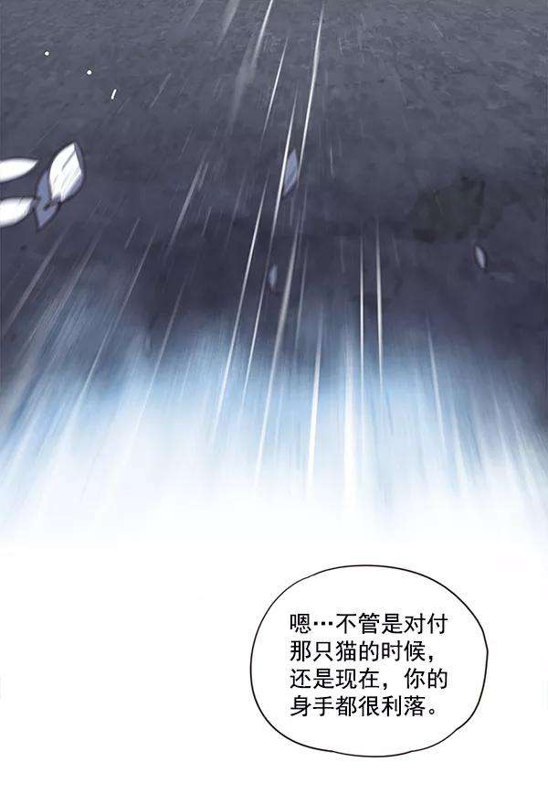 觉醒吧，铲屎官！5话