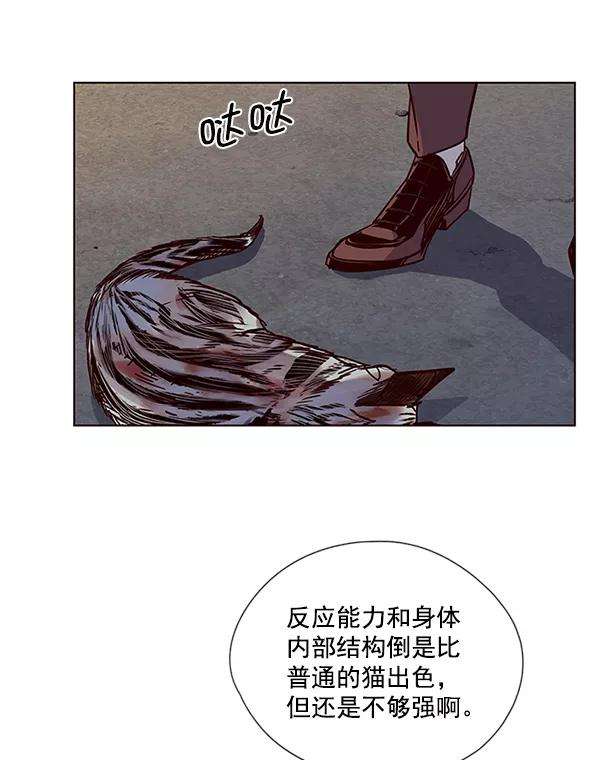 觉醒吧，铲屎官！5话