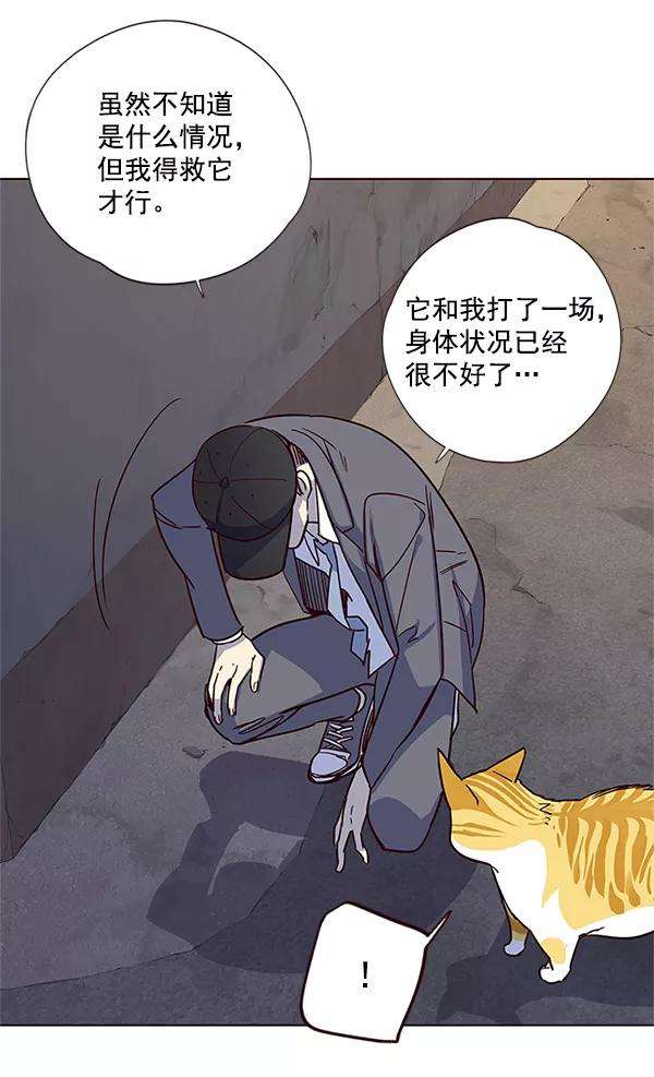 觉醒吧，铲屎官！5话