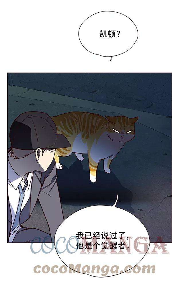 觉醒吧，铲屎官！5话