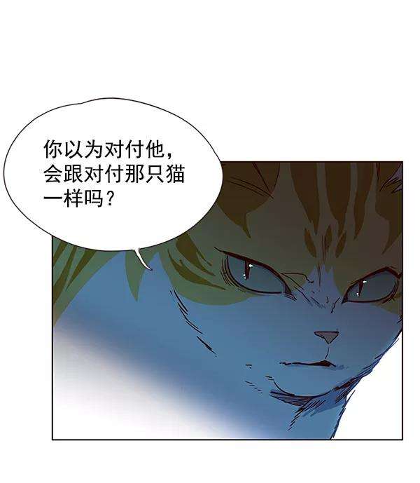 觉醒吧，铲屎官！5话