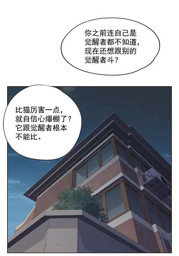 觉醒吧，铲屎官！5话
