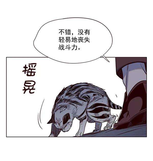 觉醒吧，铲屎官！5话