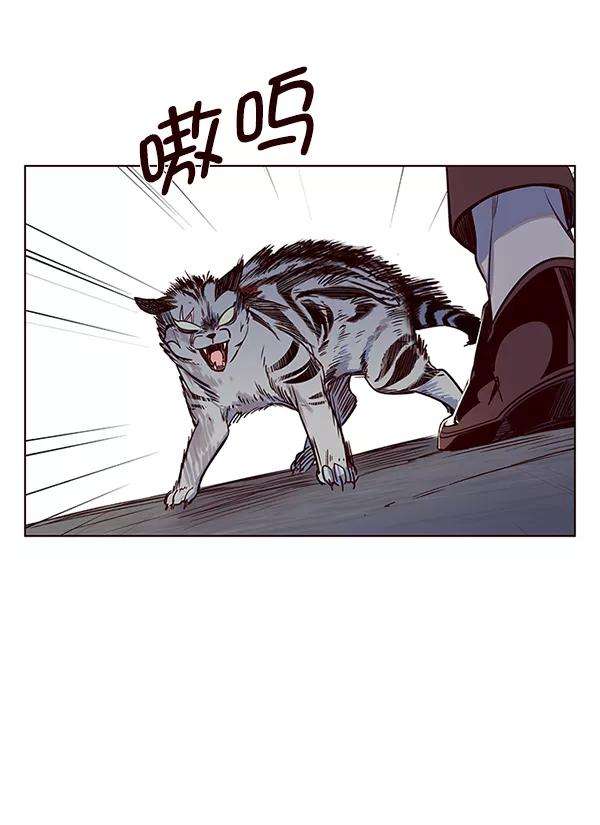 觉醒吧，铲屎官！5话