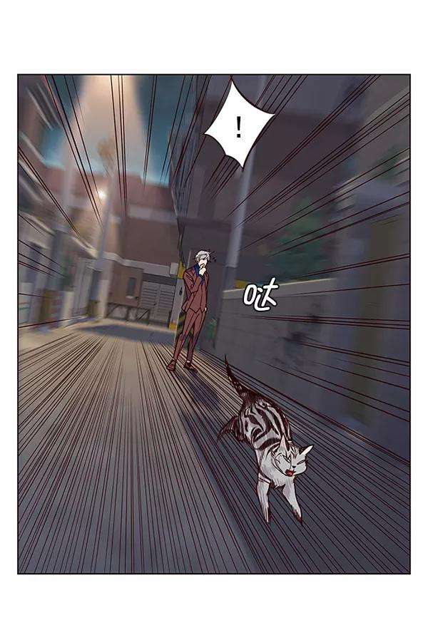 觉醒吧，铲屎官！5话