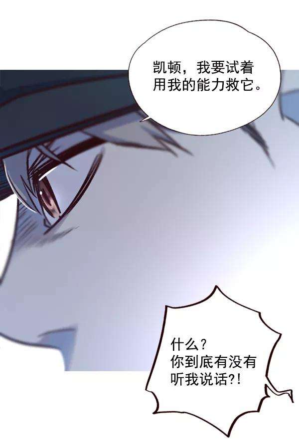 觉醒吧，铲屎官！5话