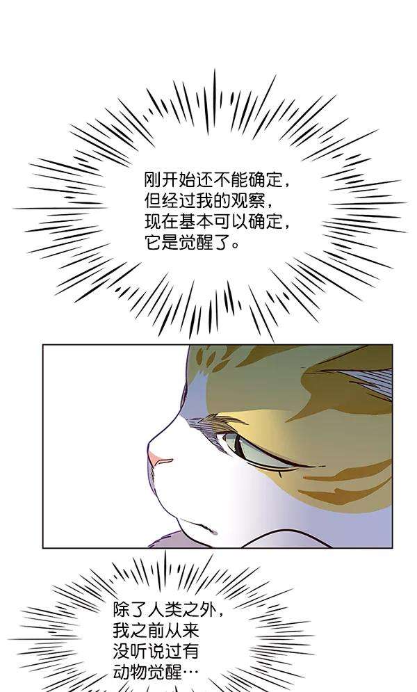 觉醒吧，铲屎官！6话