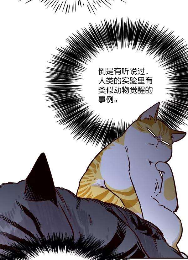 觉醒吧，铲屎官！6话