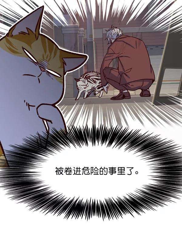 觉醒吧，铲屎官！6话