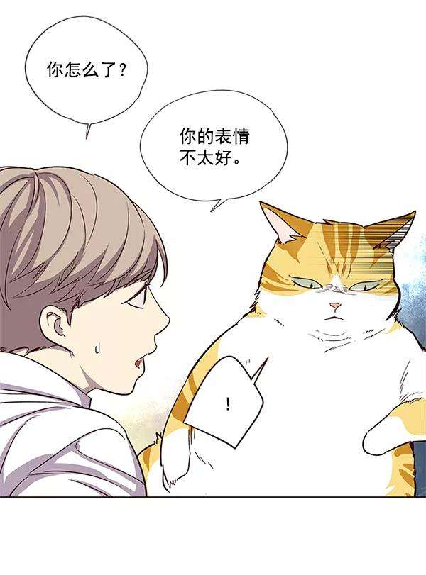 觉醒吧，铲屎官！6话