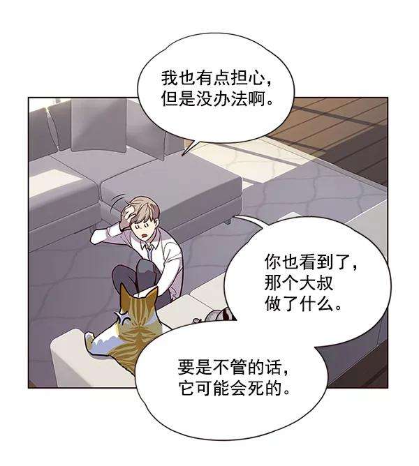 觉醒吧，铲屎官！6话