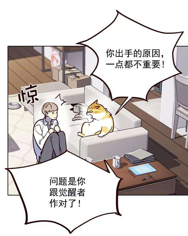 觉醒吧，铲屎官！6话