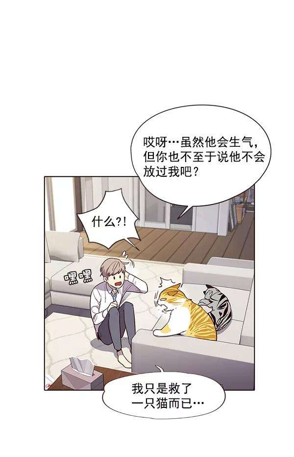 觉醒吧，铲屎官！6话
