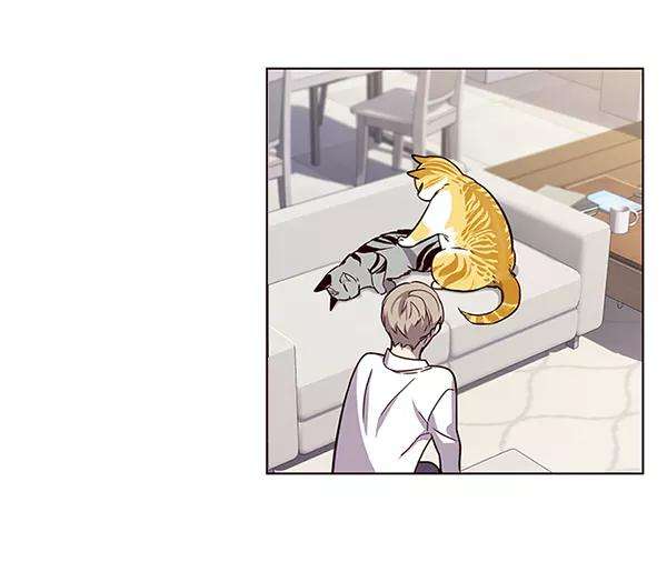 觉醒吧，铲屎官！6话