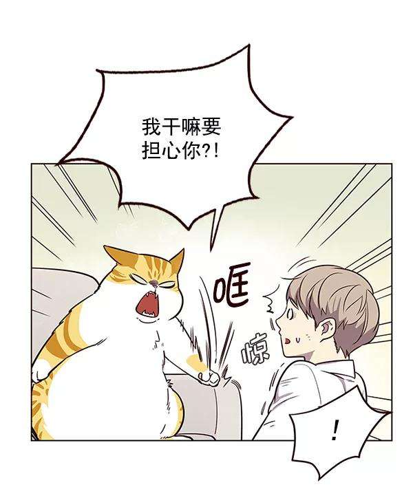 觉醒吧，铲屎官！6话