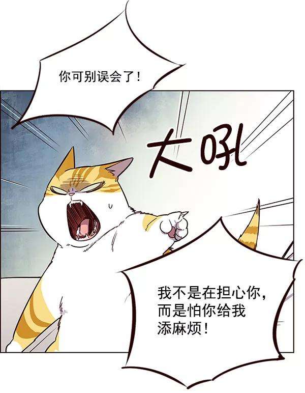 觉醒吧，铲屎官！6话