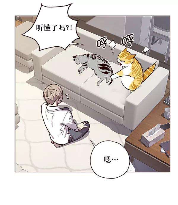 觉醒吧，铲屎官！6话