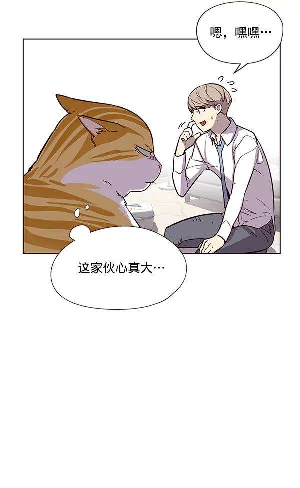 觉醒吧，铲屎官！6话