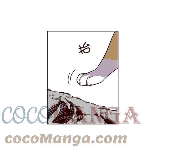觉醒吧，铲屎官！6话