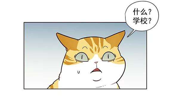 觉醒吧，铲屎官！6话