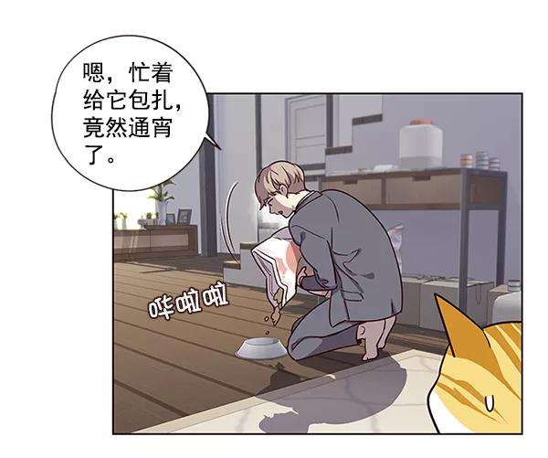 觉醒吧，铲屎官！6话