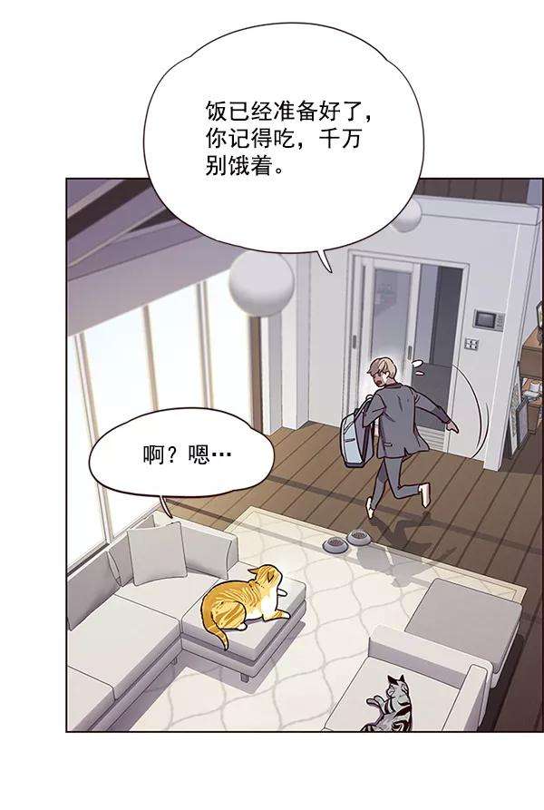 觉醒吧，铲屎官！6话
