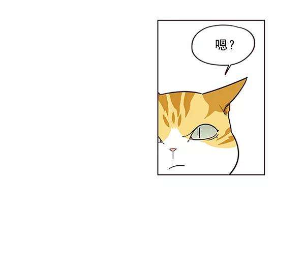 觉醒吧，铲屎官！6话
