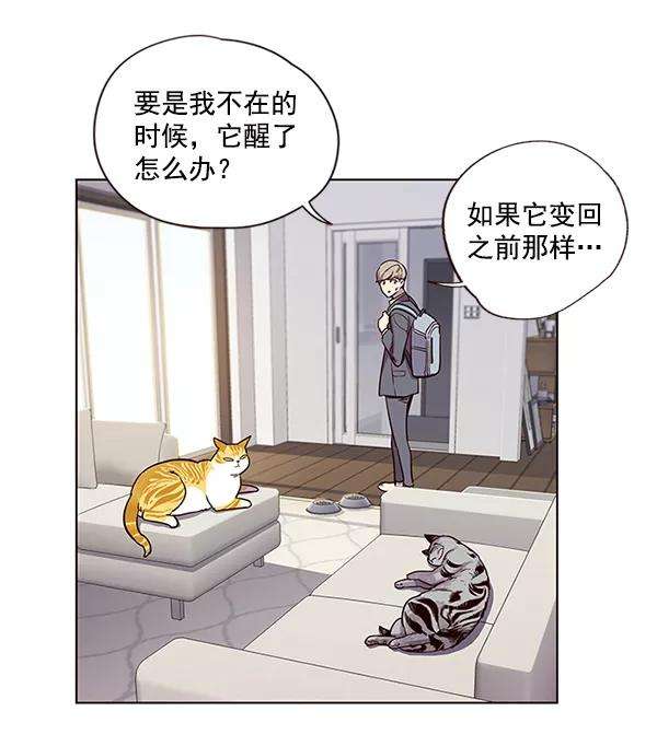 觉醒吧，铲屎官！6话