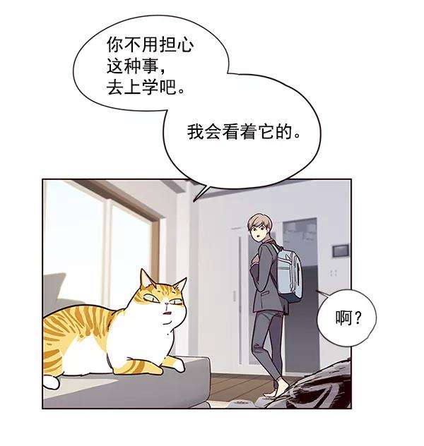觉醒吧，铲屎官！6话