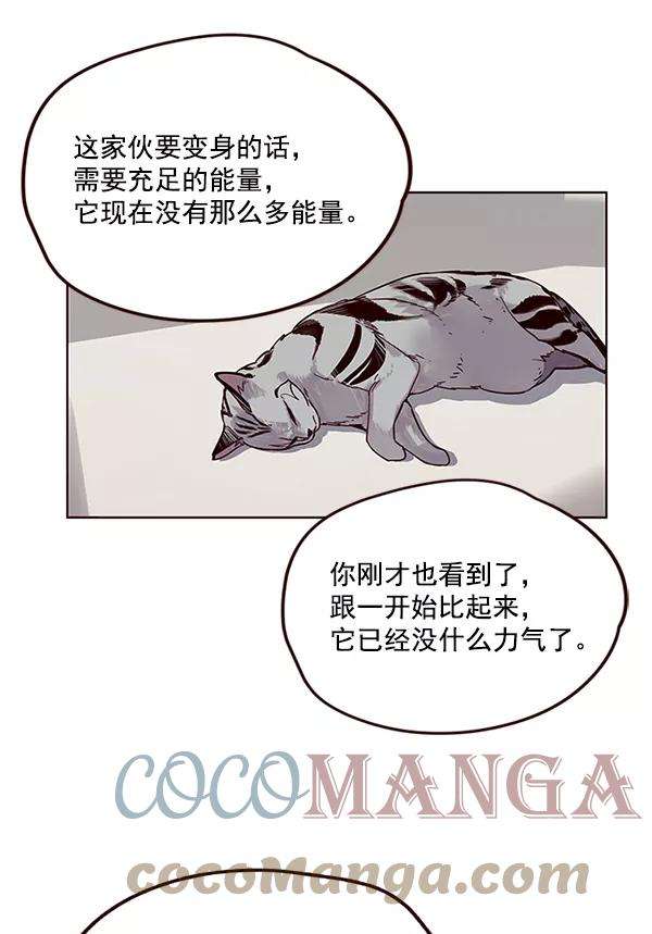 觉醒吧，铲屎官！6话
